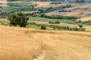 spadek cen