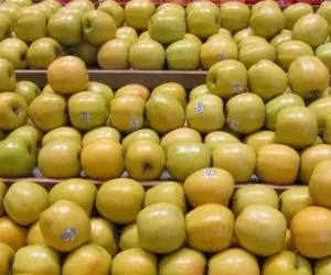 Rekordowa produkcja jabłek w&nbsp;Chinach