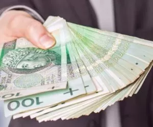 Podwyżki dopłat: sprawdź, dla kogo ile za hektar