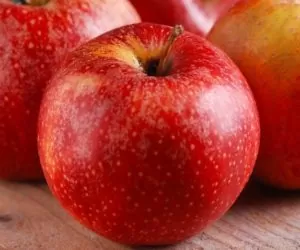 Końcówka roku: aktualne ceny jabłek