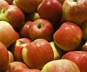 Producenci jabłek mają dość . Rozpoczyna się protest sadowników!