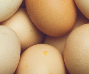 Sprzedaż bezpośrednia: poszerzony katalog