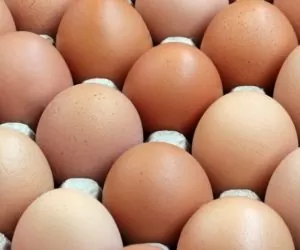 Ceny jaj w&nbsp;UE: co tańsze, co droższe?