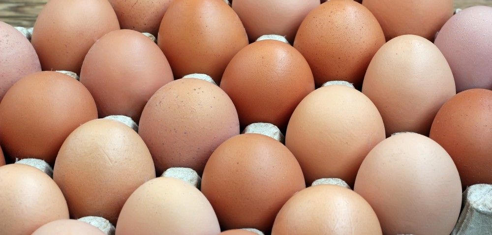 Ceny jaj w UE: co tańsze, co droższe?