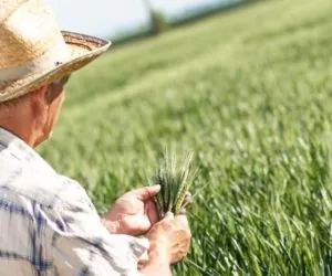 Kolejny rok na minusie: duży spadek cen
