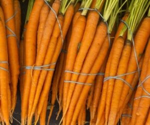 Zbiory warzyw korzeniowych: marchew, ziemniaki