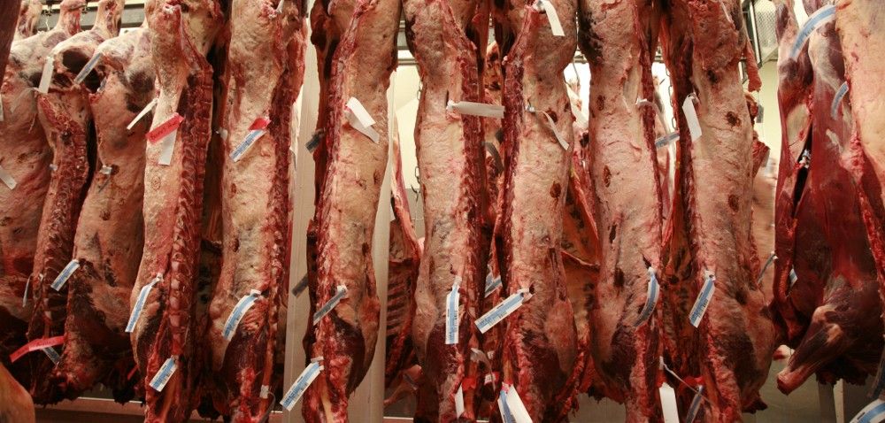 Mięso w Unii a cena referencyjna