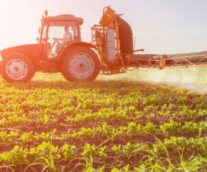 Łączne stosowanie środków ochrony roślin: co wolno, a&nbsp;czego nie? Cz. II