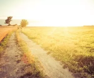 Zmiany w&nbsp;ulgach podatku. Ile za małe gospodarstwo?