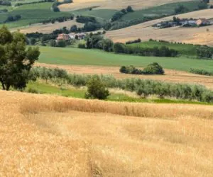 Przyjmowanie wniosków będzie szybsze i&nbsp;wygodniejsze