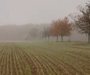 ustawa o ustroju rolnym