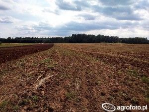 Ponowne przetargi na dzierżawę nieruchomości