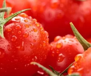 Kampania promująca polskie pomidory