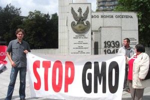 protest - odmiany gmo
