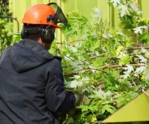 Rębak do gałęzi: kupić czy zrobić samemu?