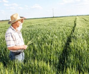 Rządowe wsparcie dla systemów jakości: nabór wniosków
