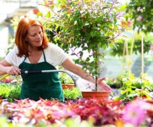 Naturalne środki ochrony roślin dla ekologicznych plantacji