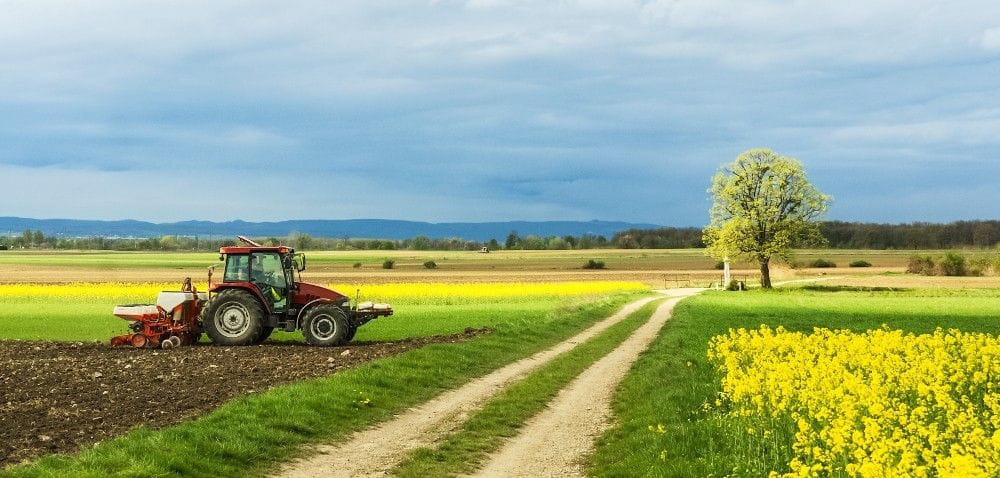 Jak ograniczać koszty uprawy roślin polowych?