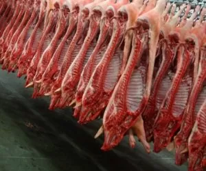 Rozporządzenie o&nbsp;przechowywaniu wieprzowiny