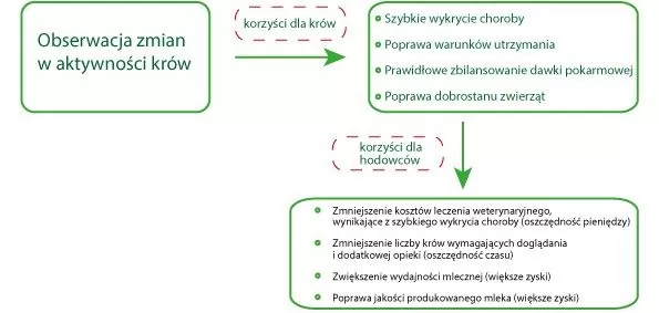 korzyści z profilaktyki