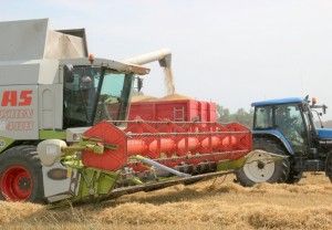 materiał