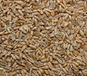 materiał
