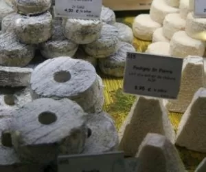 prognozy dla rynku mleczarskiego