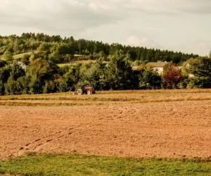 Trwają wypłaty dopłat bezpośrednich