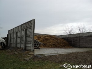 dyrektywa azotanowa