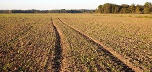 ANR / problemy rolnictwa