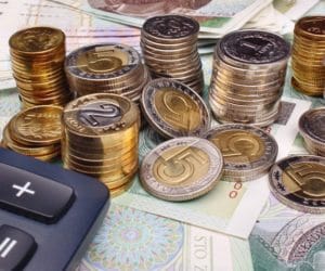 Kalkulacje rolnicze. Uprawy polowe