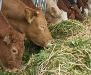 Prawo: PROW a&nbsp;pomoc w&nbsp;modernizacji gospodarstw