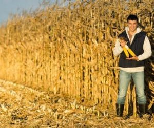 Prawo: Premie dla młodych rolników w&nbsp;ramach PROW