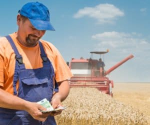 Wsparcie dla zadłużonych gospodarstw – co zakłada nowa ustawa?