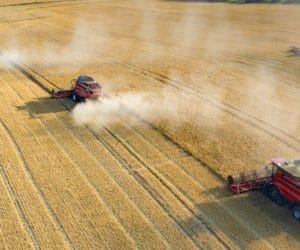 Grupy producentów rolnych w&nbsp;PROW 2014–2020