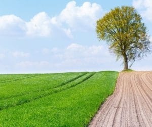 Projekt ustawy: sprzedaż ziemi Skarbu Państwa