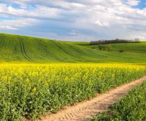 KRUS: prezesem został Jacek Dubiński