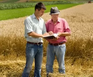 Poradnik ubezpieczeniowy od Concordii