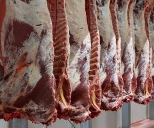 Kolejne kontrole weterynaryjne za nami. Jakie są wnioski?