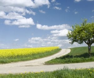 KPIR: potrzeba kilka doprecyzowań