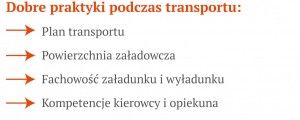 transport zwierząt