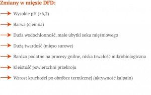 jakość wołowiny