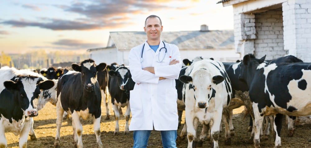 Polsko-czeska współpraca weterynaryjna   