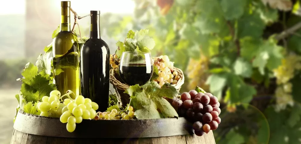 UE: plany dotyczące sektora wina