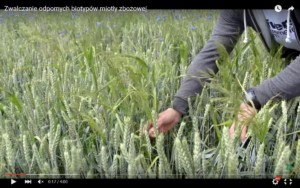 nufarm