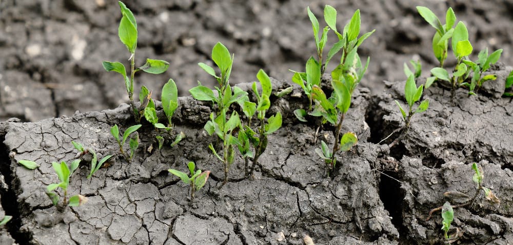 Ochrona przed erozją gleb