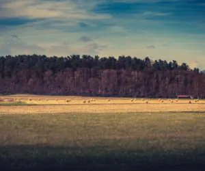 ARR: co dzieje się w&nbsp;agencji?