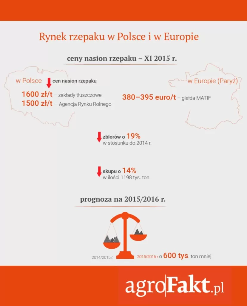 odmiany rzepaku - sytuacja na rynku