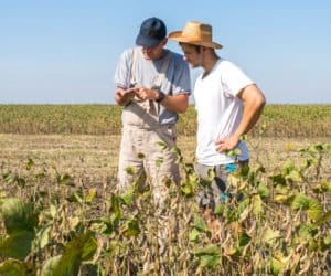 PROW: premie dla młodych rolników