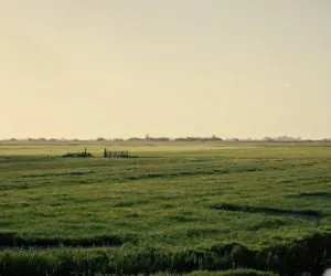 OSN: Czy tereny będą wyznaczanie zaocznie?